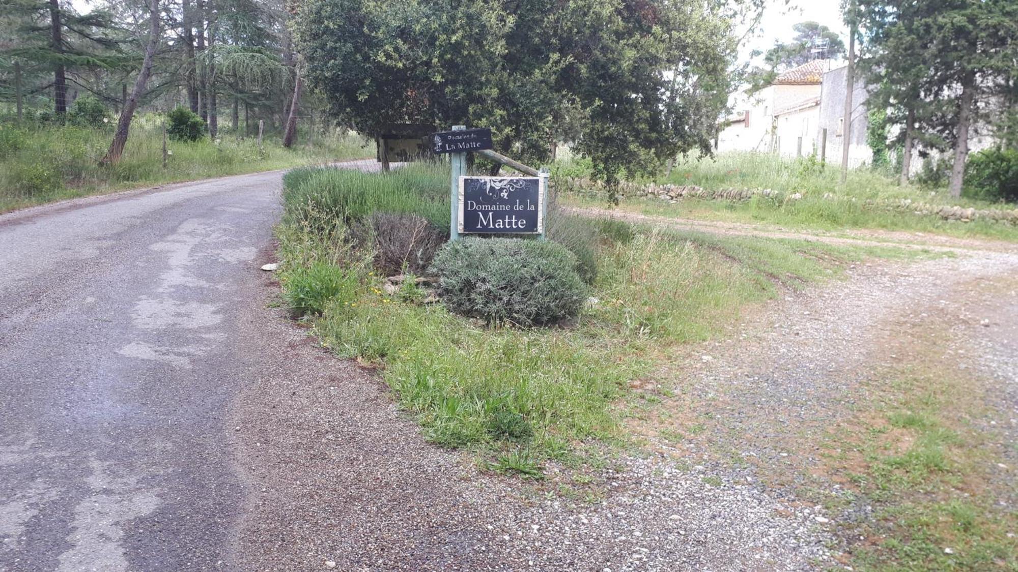 Domaine De La Matte Bed & Breakfast Conques-sur-Orbiel Ngoại thất bức ảnh
